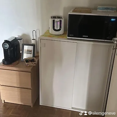 Chambre Confortable Et Grande Genève