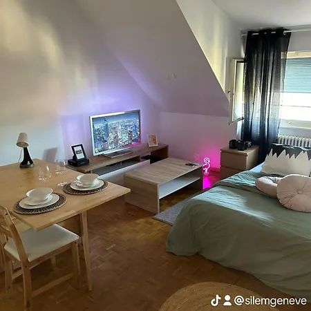 Chambre Confortable Et Grande Séjour chez l'habitant Genève
