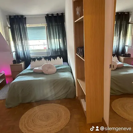 Chambre Confortable Et Grande Séjour chez l'habitant Genève